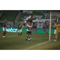 Coritiba recebe o Santos na 17ª rodada da Série A